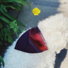 Hundeklud - Fanøklud - med spænde